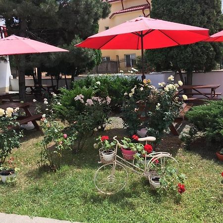 Hotel Pensiunea Acf Tineretului Costineşti Exteriér fotografie