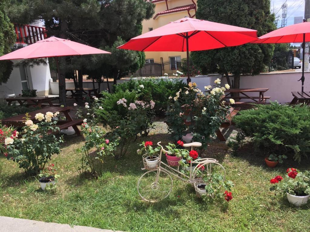 Hotel Pensiunea Acf Tineretului Costineşti Exteriér fotografie